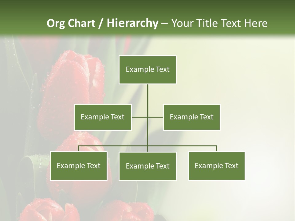 Management Group Corporation PowerPoint Template