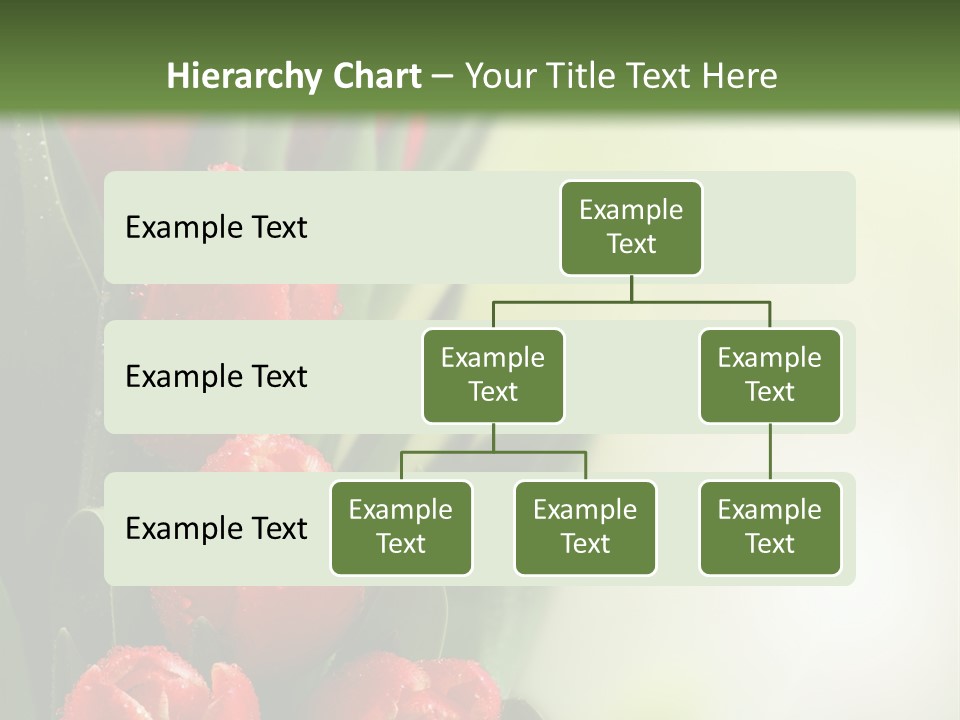 Management Group Corporation PowerPoint Template