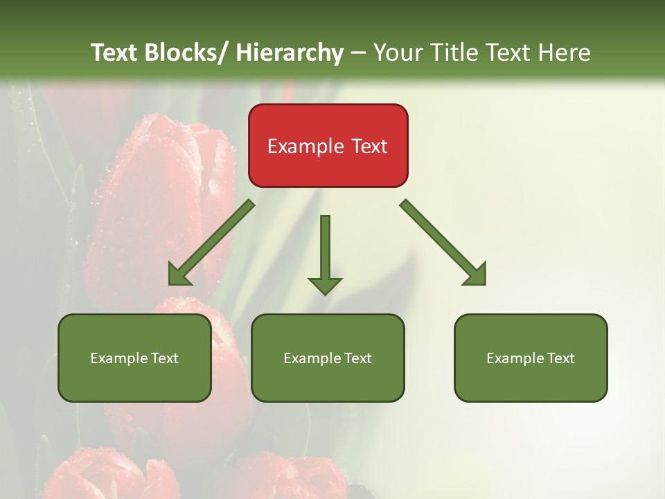 Management Group Corporation PowerPoint Template