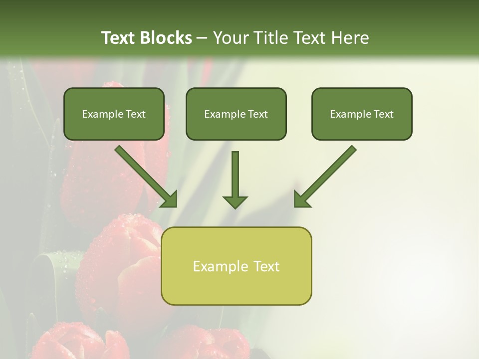 Management Group Corporation PowerPoint Template