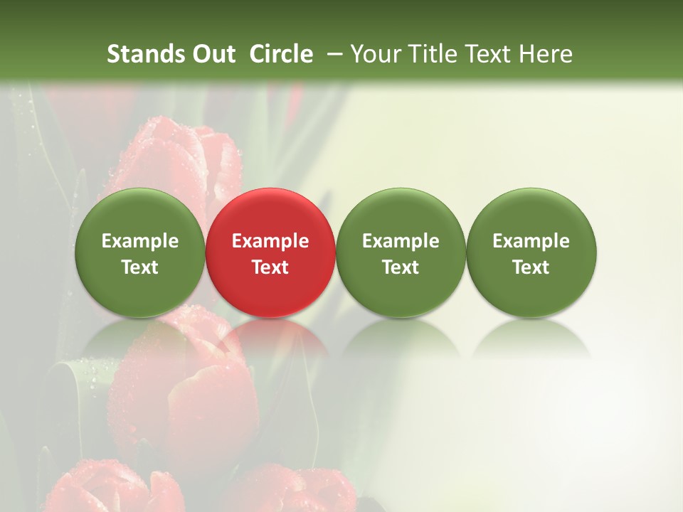 Management Group Corporation PowerPoint Template