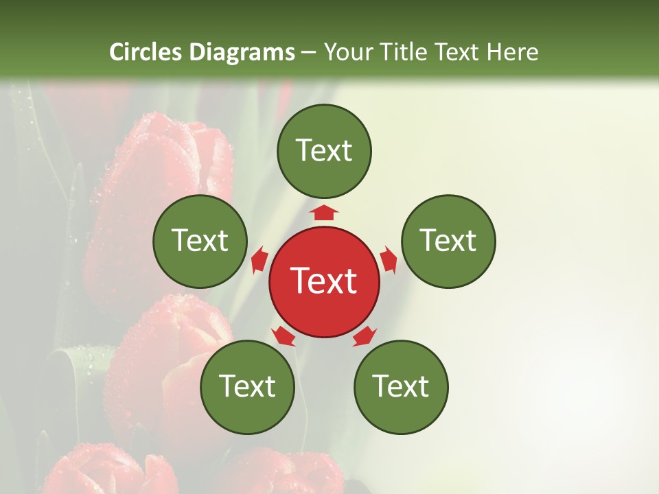 Management Group Corporation PowerPoint Template