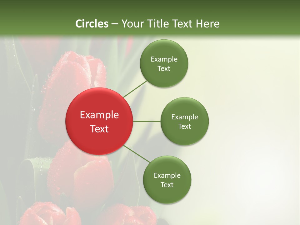 Management Group Corporation PowerPoint Template