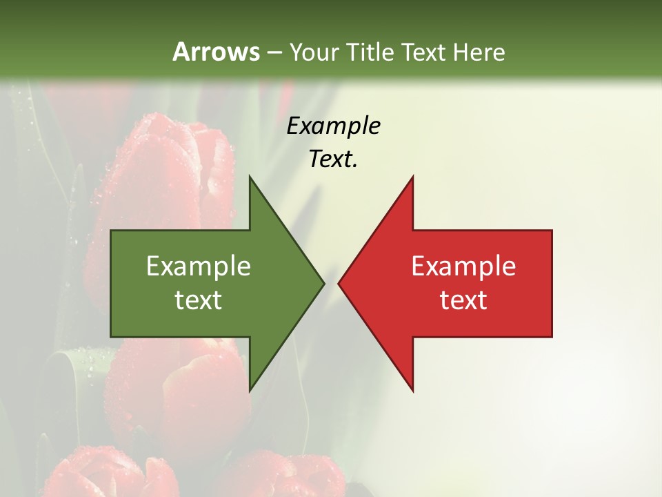 Management Group Corporation PowerPoint Template