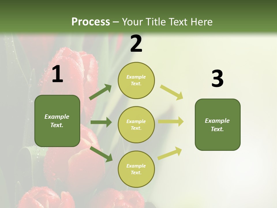 Management Group Corporation PowerPoint Template