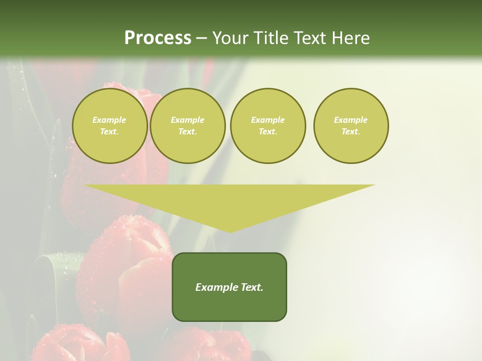 Management Group Corporation PowerPoint Template