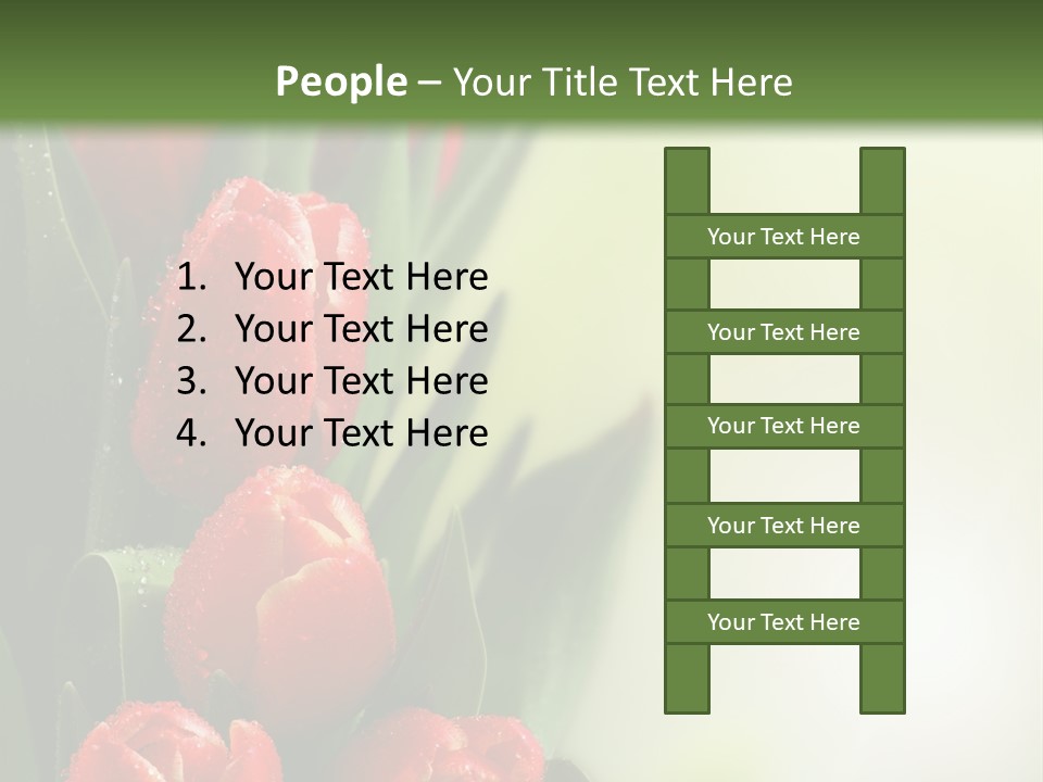 Management Group Corporation PowerPoint Template
