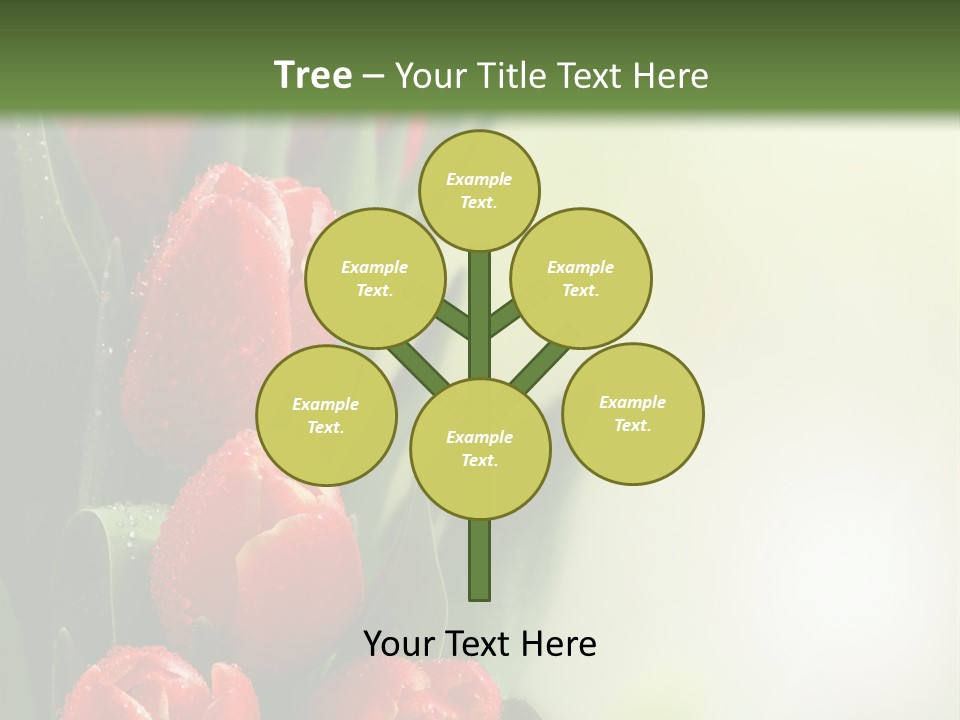 Management Group Corporation PowerPoint Template