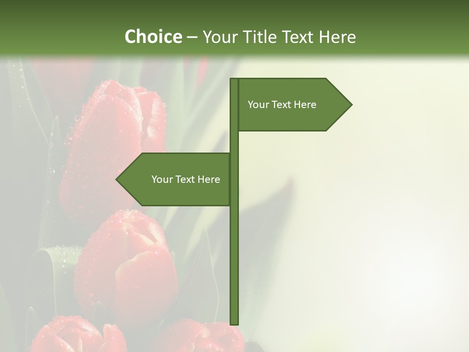 Management Group Corporation PowerPoint Template