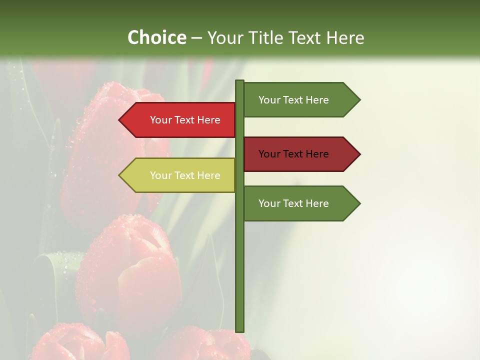 Management Group Corporation PowerPoint Template