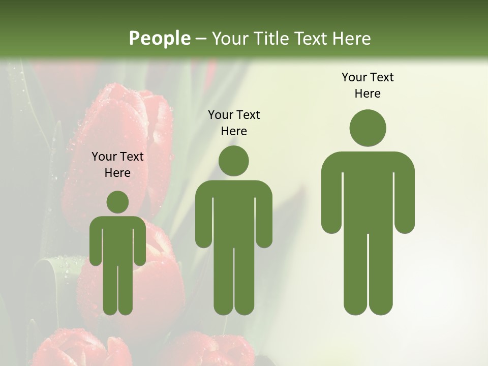 Management Group Corporation PowerPoint Template