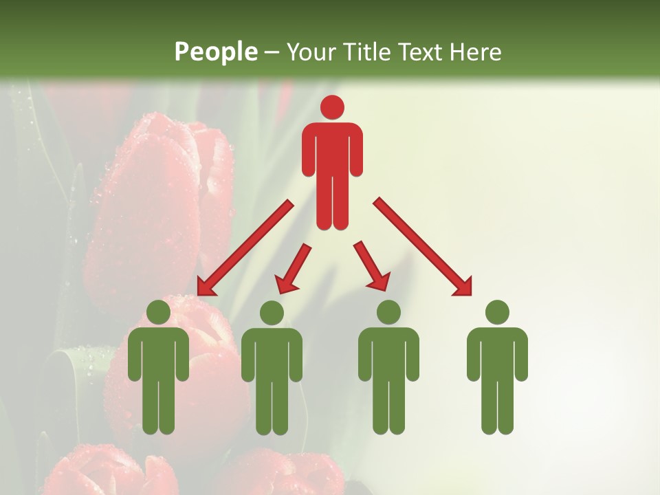 Management Group Corporation PowerPoint Template