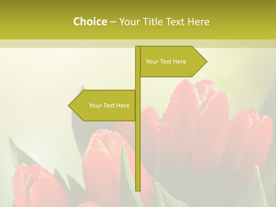 Toon Communication Team PowerPoint Template
