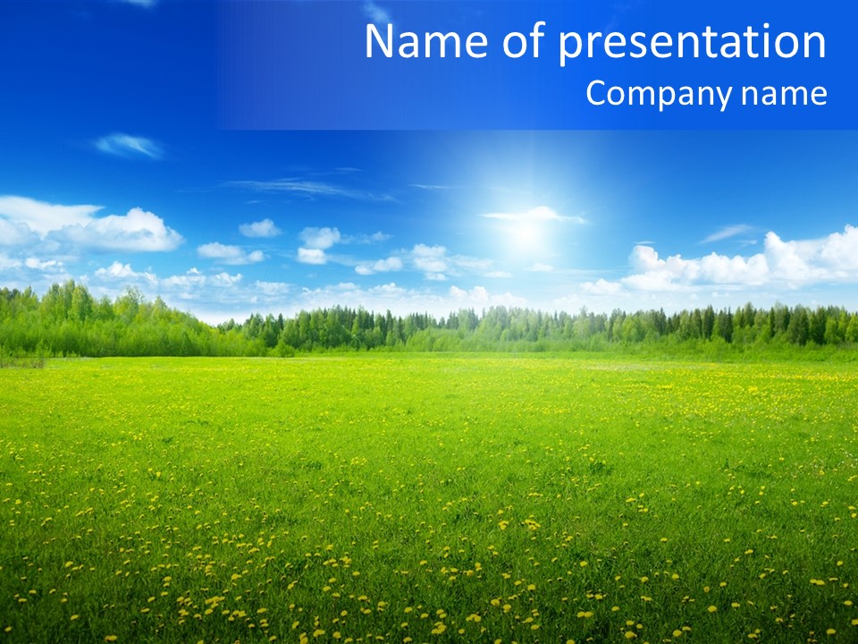 Beauty Spring Sunny PowerPoint Template