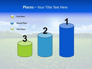 Beauty Spring Sunny PowerPoint Template