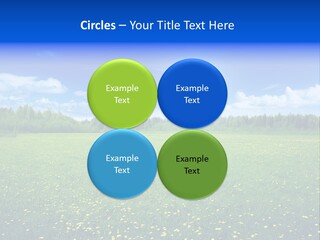 Beauty Spring Sunny PowerPoint Template