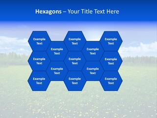Beauty Spring Sunny PowerPoint Template
