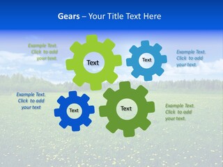 Beauty Spring Sunny PowerPoint Template