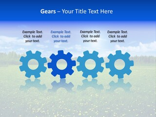 Beauty Spring Sunny PowerPoint Template