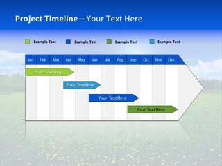 Beauty Spring Sunny PowerPoint Template