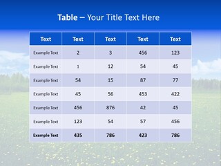 Beauty Spring Sunny PowerPoint Template