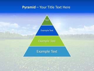 Beauty Spring Sunny PowerPoint Template