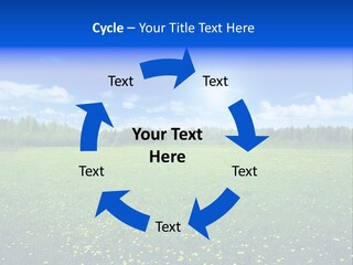 Beauty Spring Sunny PowerPoint Template