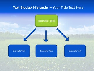 Beauty Spring Sunny PowerPoint Template
