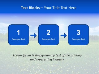 Beauty Spring Sunny PowerPoint Template