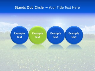 Beauty Spring Sunny PowerPoint Template