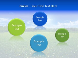 Beauty Spring Sunny PowerPoint Template