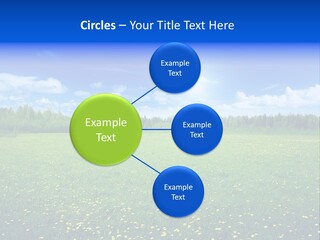 Beauty Spring Sunny PowerPoint Template