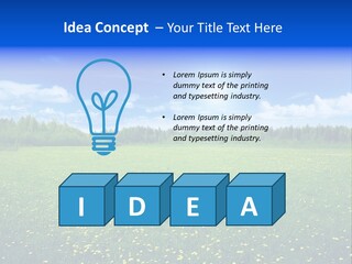 Beauty Spring Sunny PowerPoint Template