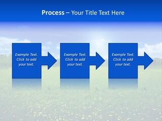 Beauty Spring Sunny PowerPoint Template