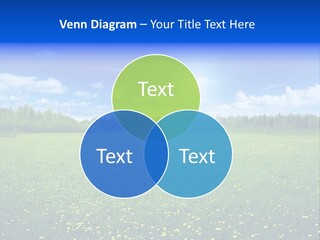 Beauty Spring Sunny PowerPoint Template