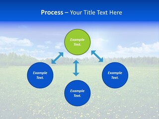 Beauty Spring Sunny PowerPoint Template