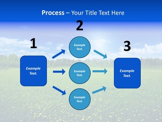 Beauty Spring Sunny PowerPoint Template