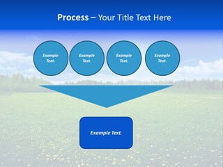 Beauty Spring Sunny PowerPoint Template