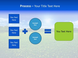 Beauty Spring Sunny PowerPoint Template