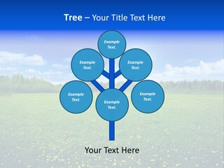 Beauty Spring Sunny PowerPoint Template