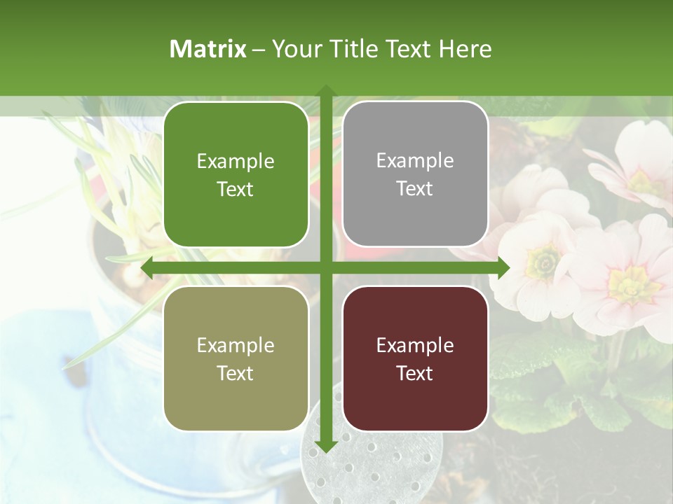 Rubber Leaves Spring Time PowerPoint Template