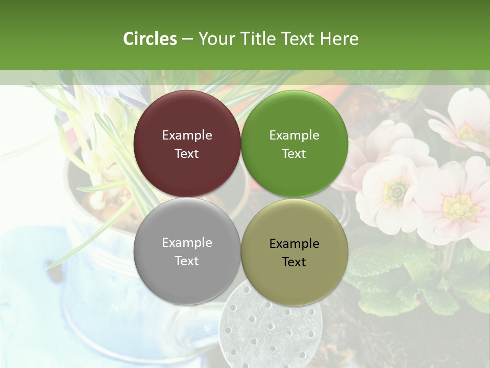 Rubber Leaves Spring Time PowerPoint Template