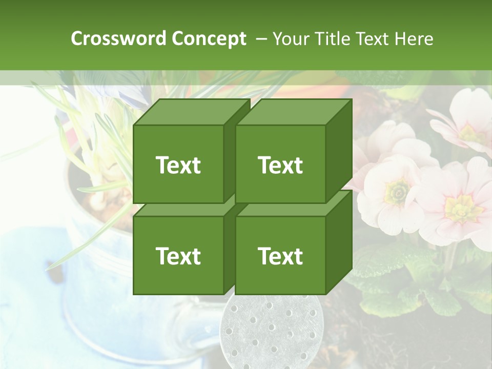 Rubber Leaves Spring Time PowerPoint Template