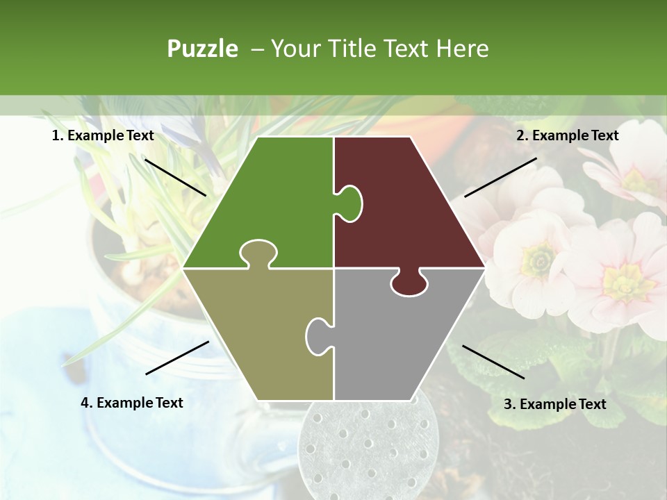 Rubber Leaves Spring Time PowerPoint Template