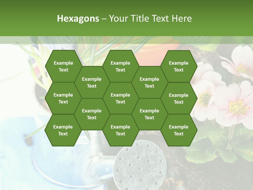 Rubber Leaves Spring Time PowerPoint Template