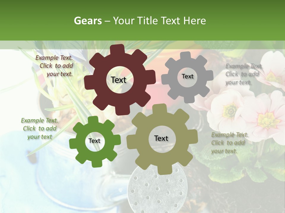 Rubber Leaves Spring Time PowerPoint Template