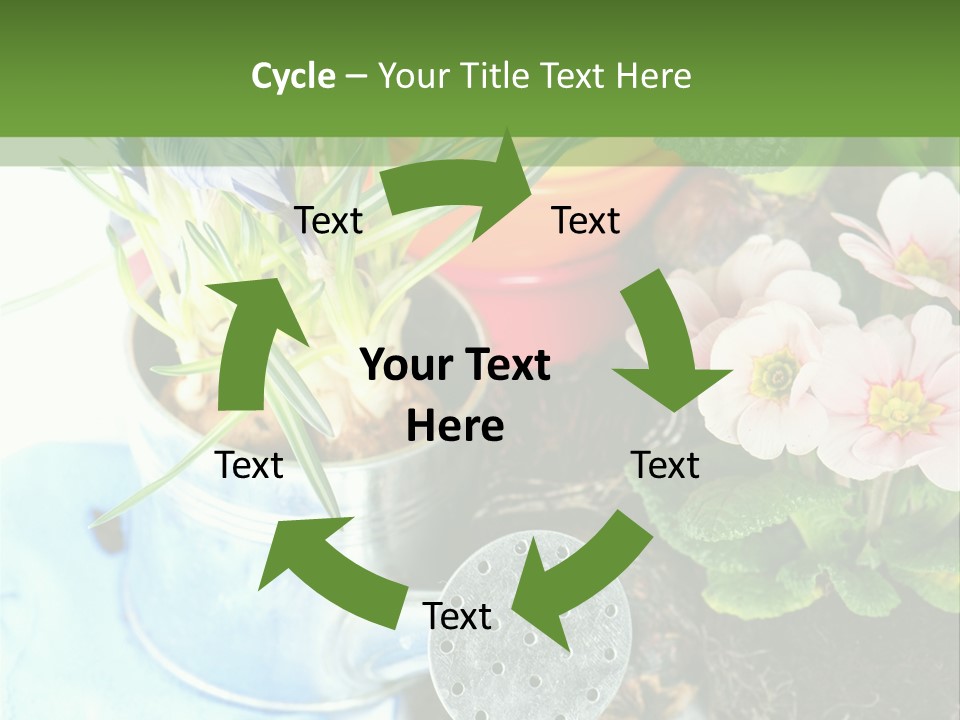 Rubber Leaves Spring Time PowerPoint Template