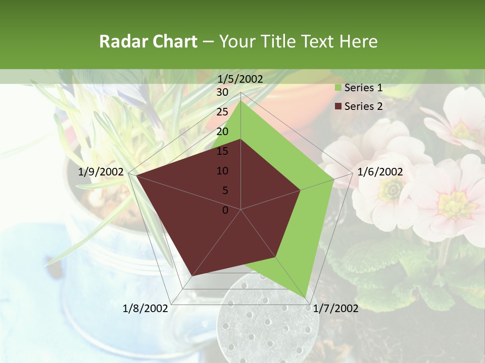 Rubber Leaves Spring Time PowerPoint Template