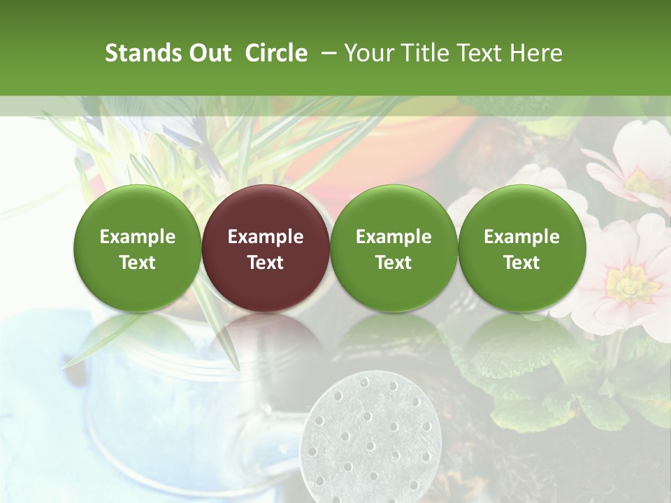 Rubber Leaves Spring Time PowerPoint Template