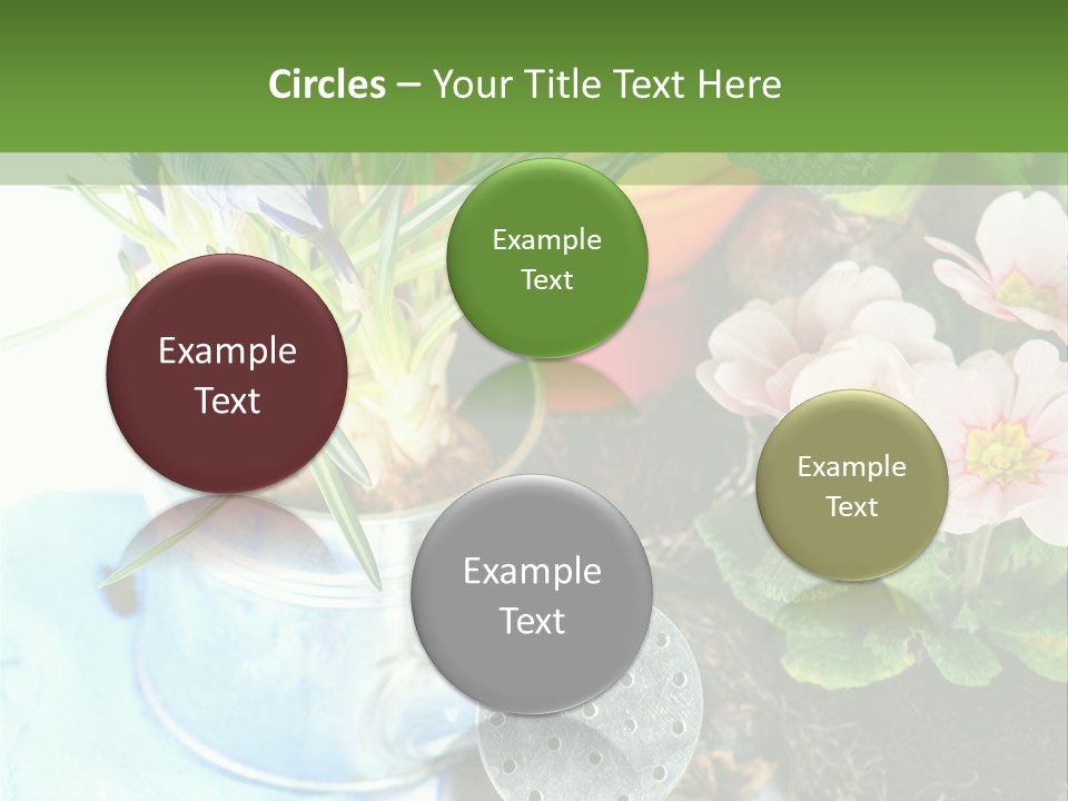 Rubber Leaves Spring Time PowerPoint Template